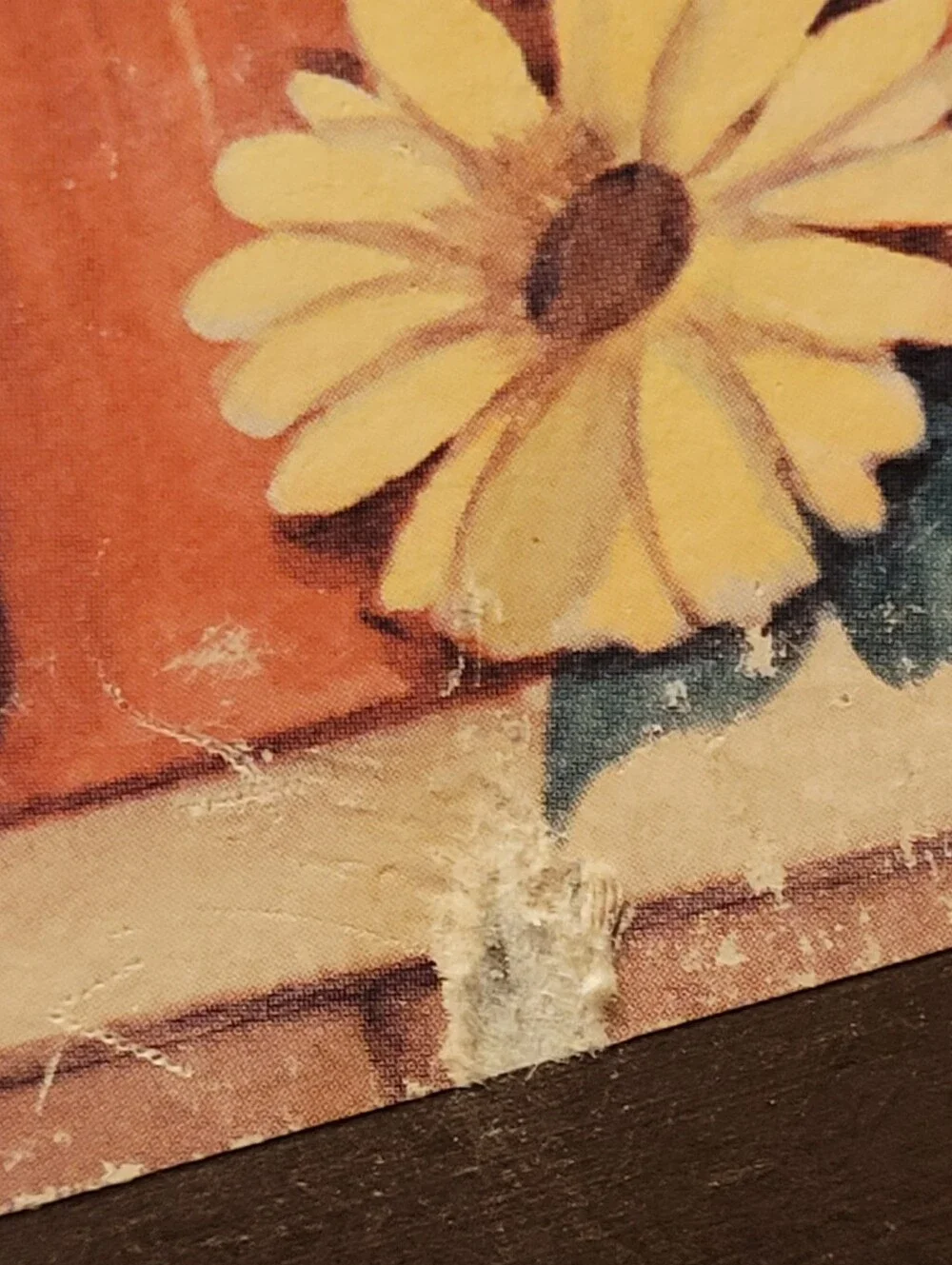 Homco ⭐️⭐️vintage 1970s